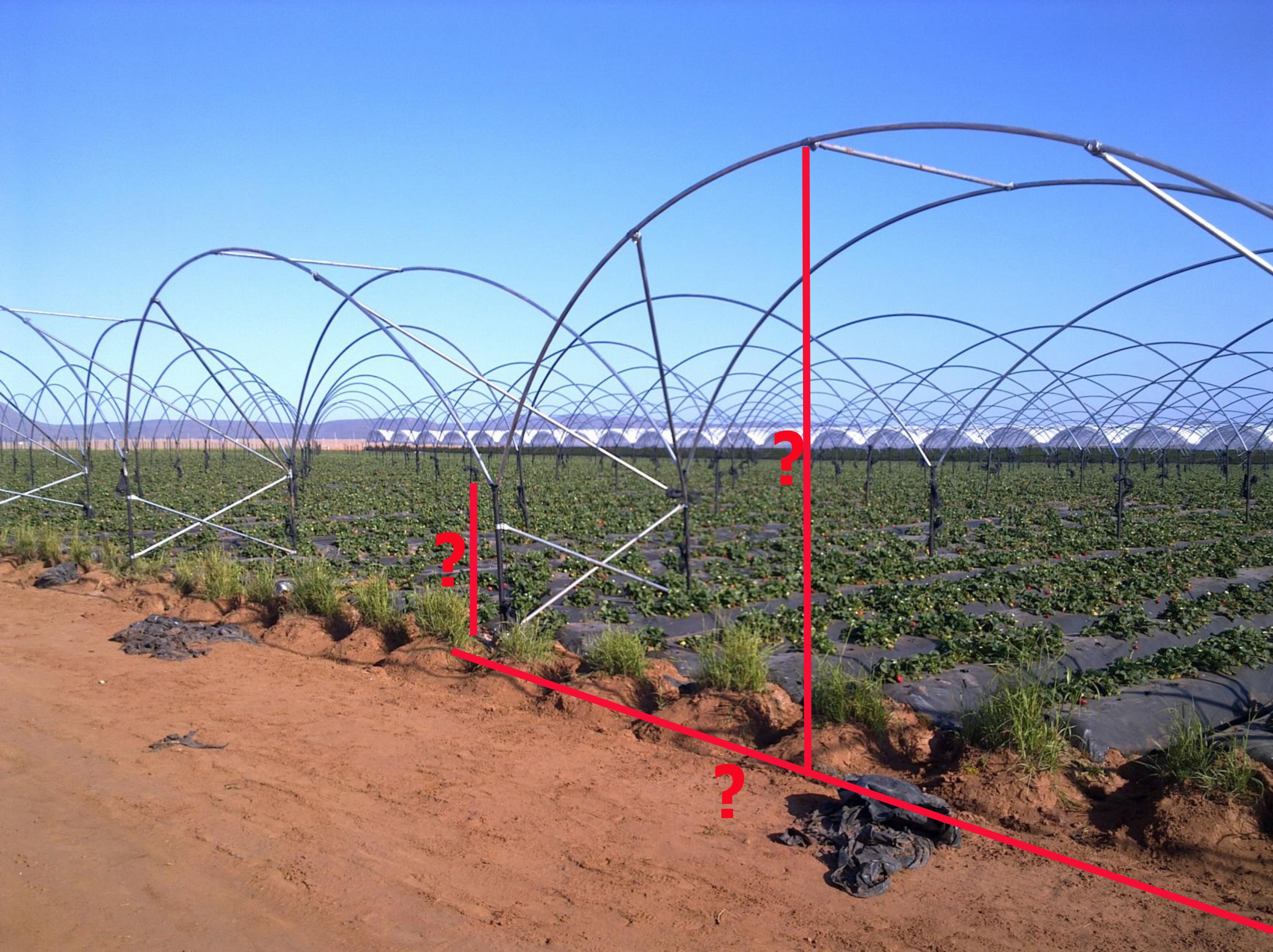 Agricultural hoop-house cold frame structures in a field