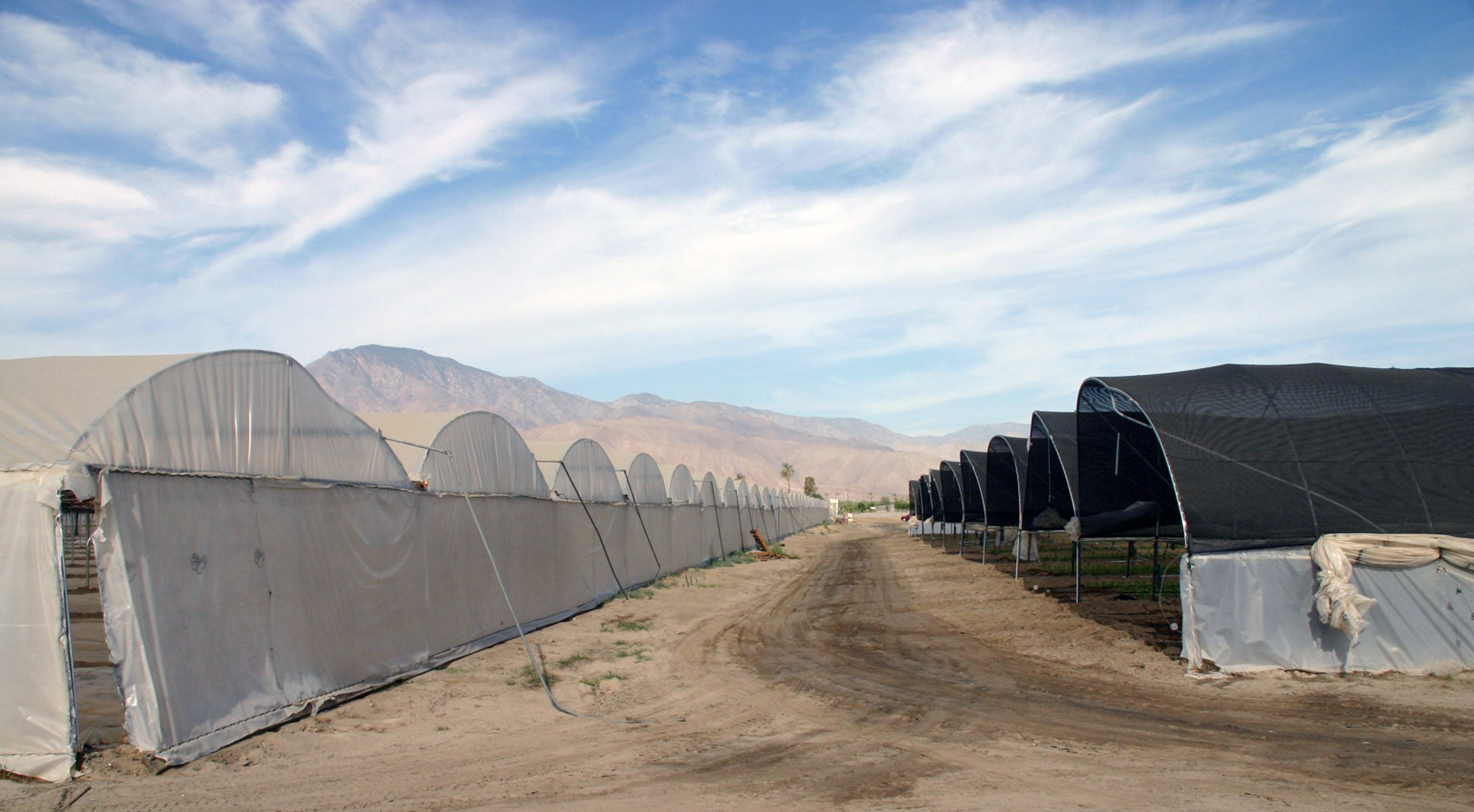 Hoop-houses covered with film and shade in desert landscape