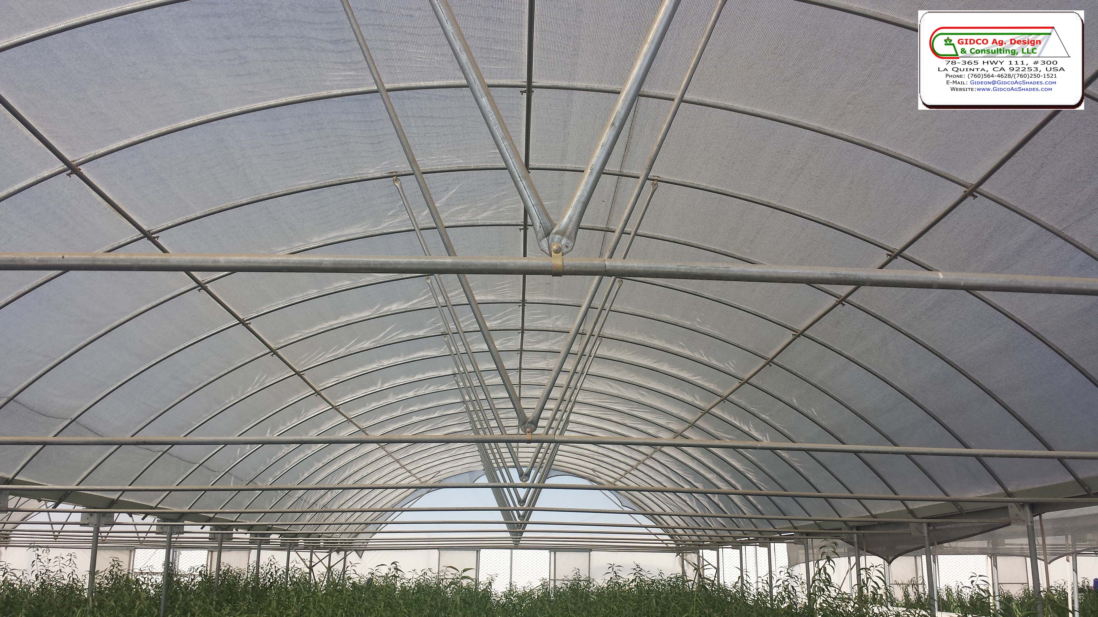 Interior of super hoop-house with shade net and metal framing