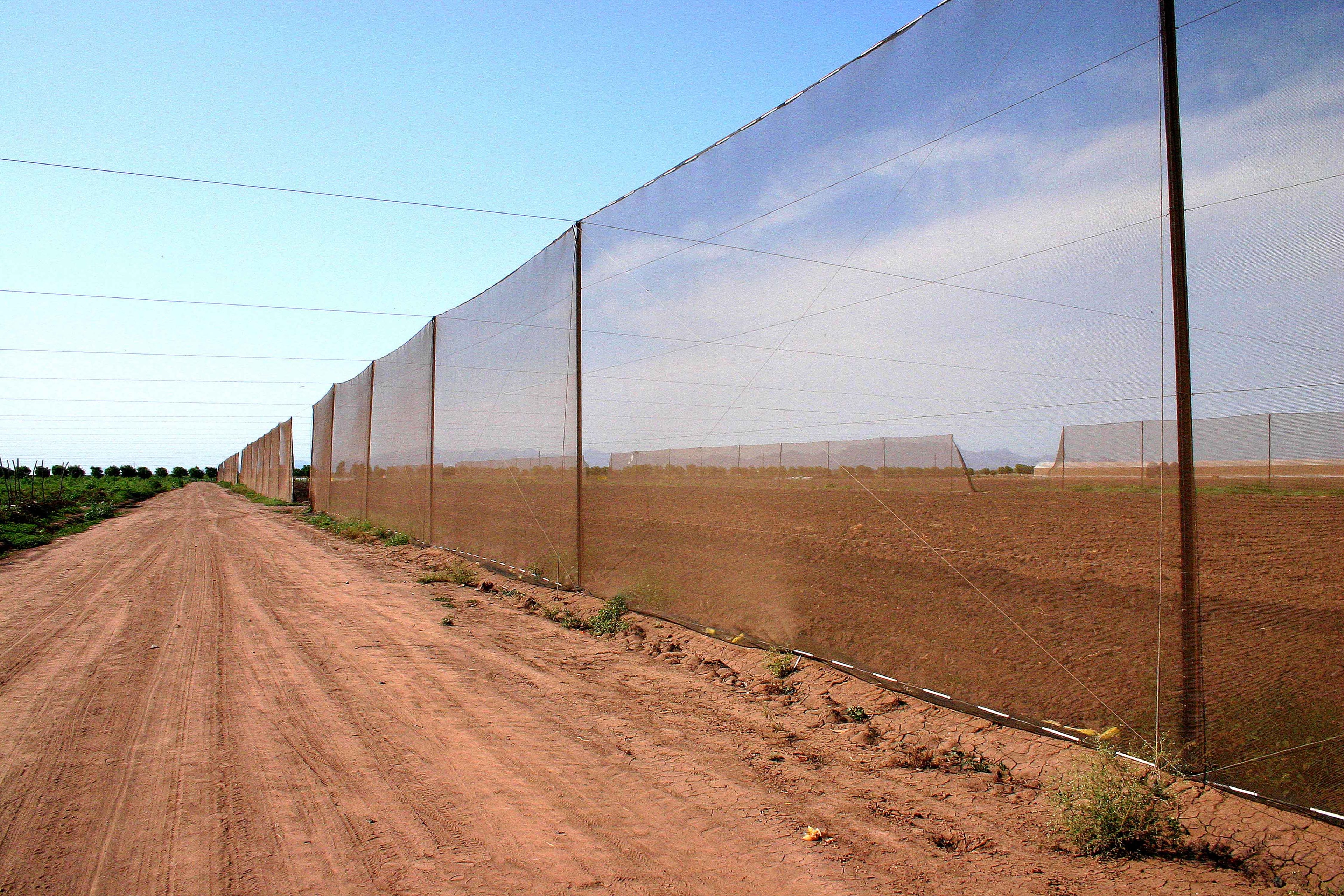 Agricultural windbreaker system — long shade net wall along dirt road protecting open field
