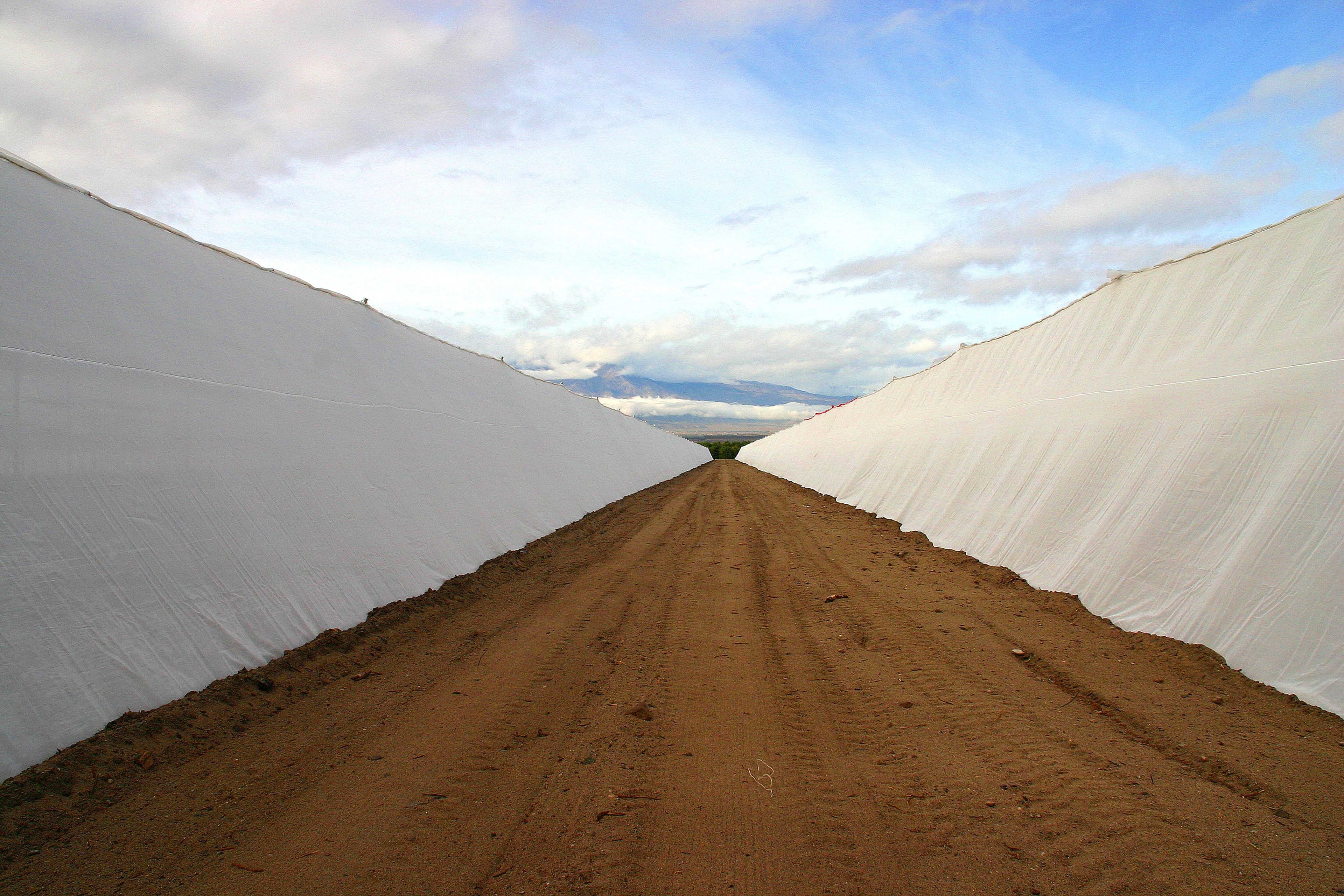 Two 10-acre screen structures side by side with dirt road between them and mountain backdrop