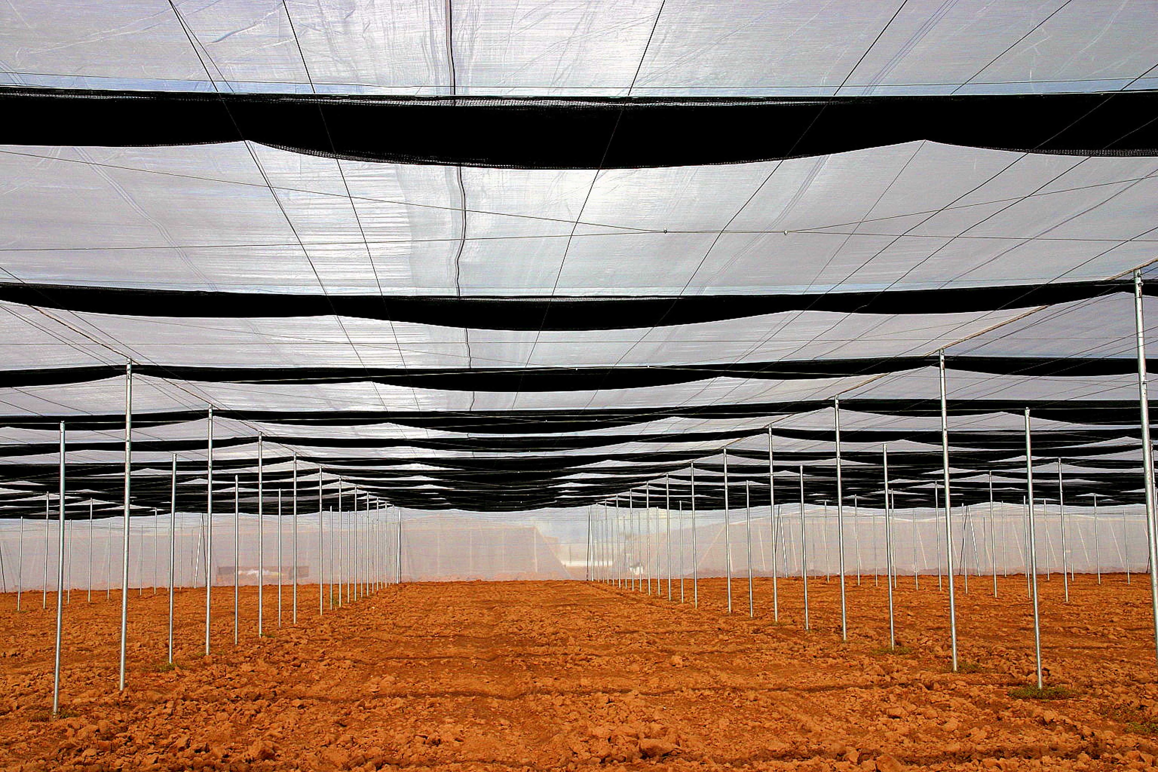Interior of large screen structure with retractable shade panels over red clay soil