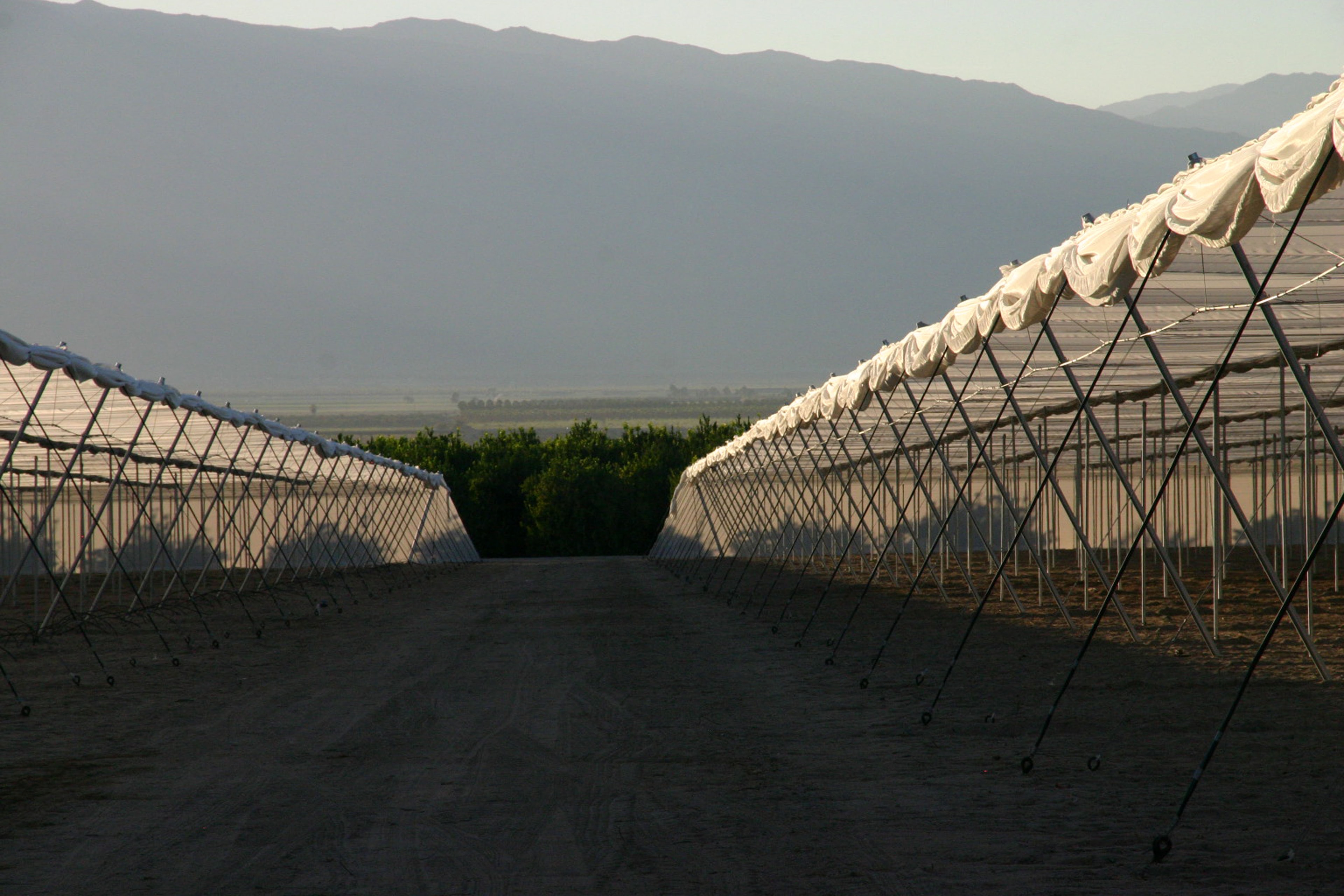 Interior of shade structure with hoop frames and prepared sandy soil beds under dark shade netting