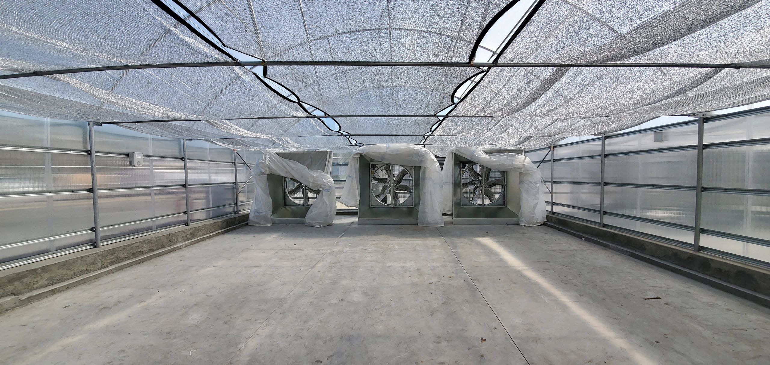 Mejool Dates Drying Rooms