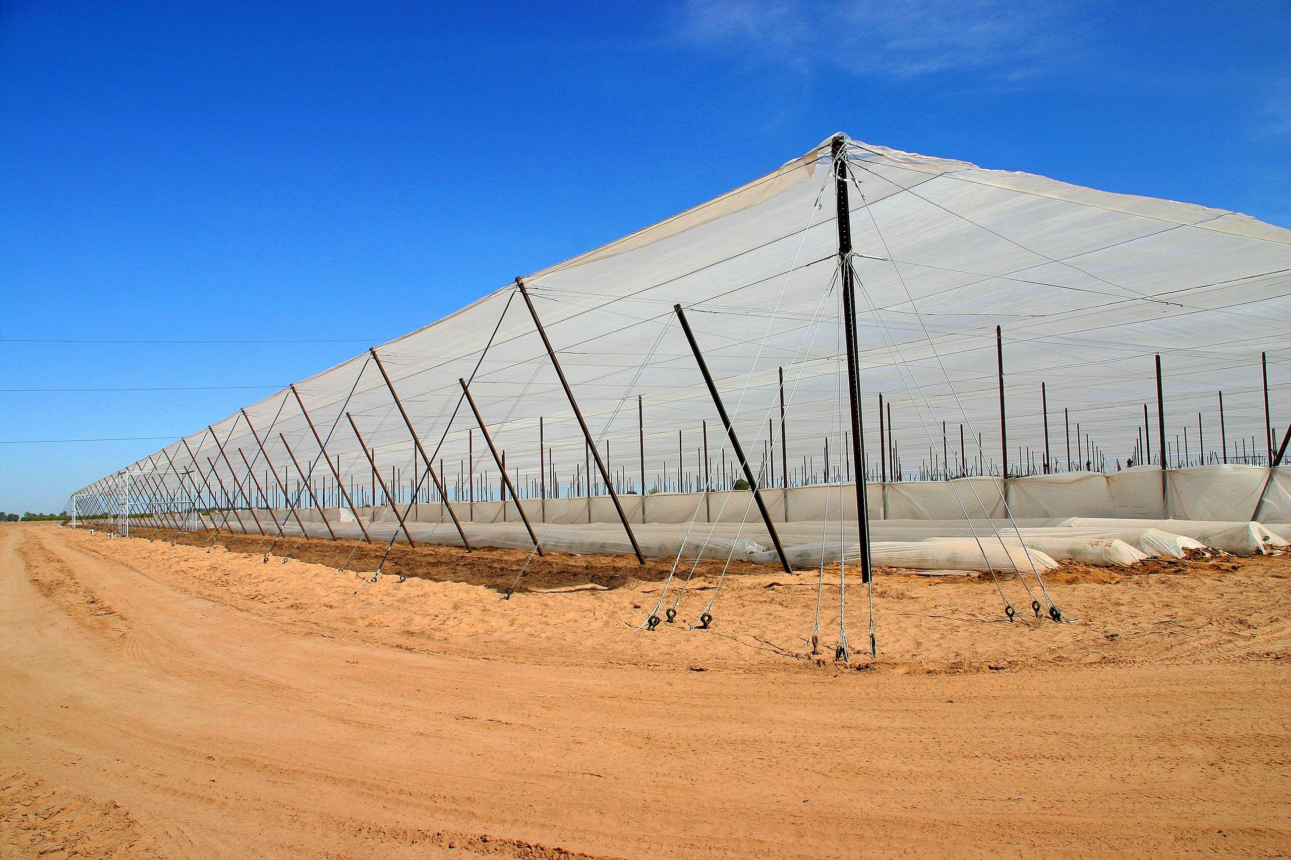 Large-scale shade net greenhouse structure in arid landscape