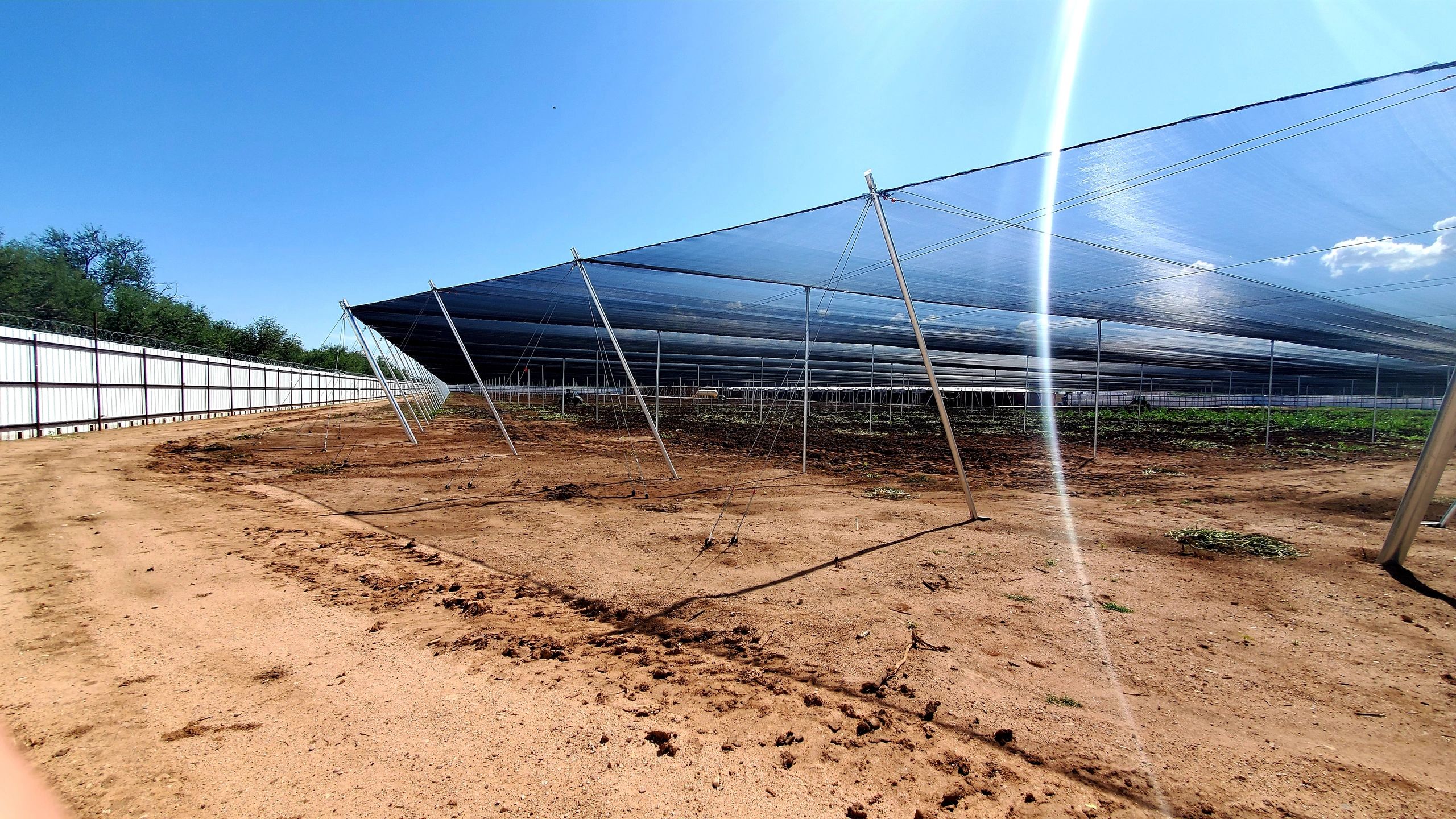 Hoop-house agricultural protective structure